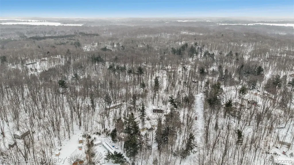 229 Forest Trail Rose Lake Township MI 49655