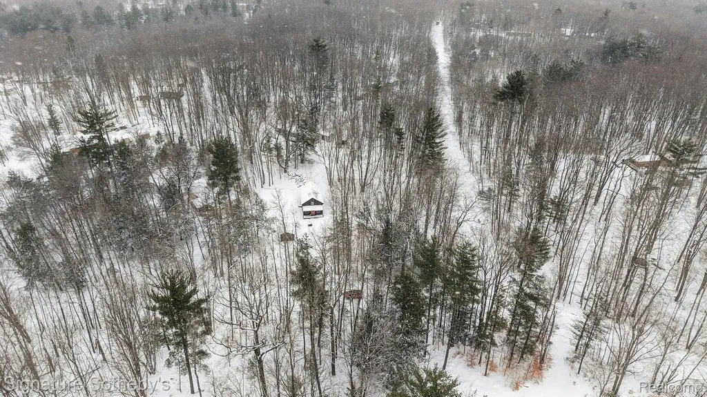 229 Forest Trail Rose Lake Township MI 49655