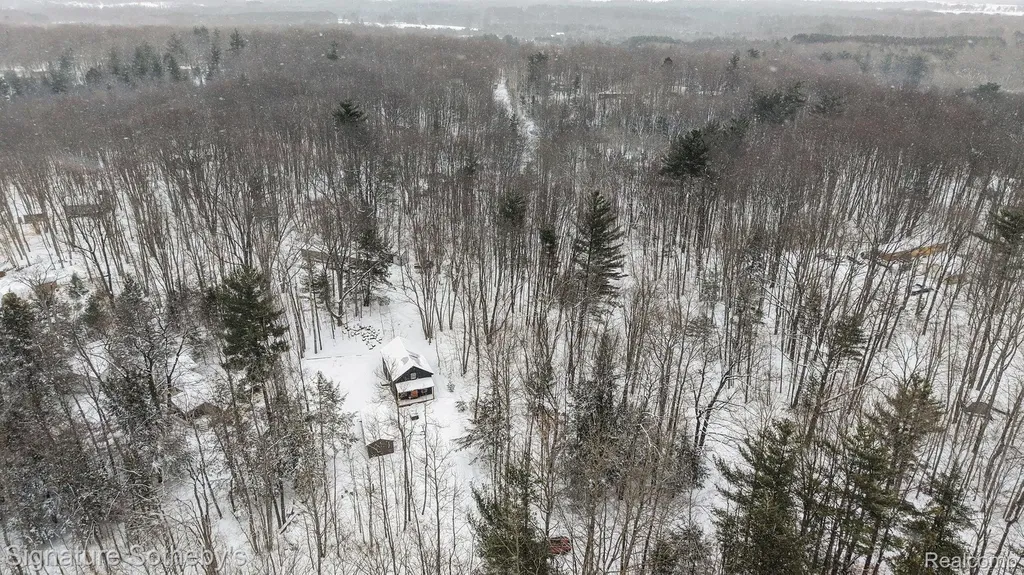 229 Forest Trail Rose Lake Township MI 49655
