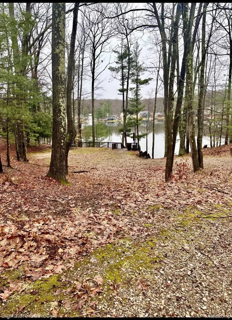 229 Forest Trail Rose Lake Township MI 49655