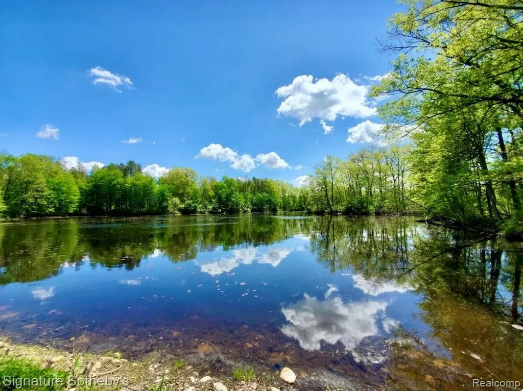 229 Forest Trail Rose Lake Township MI 49655