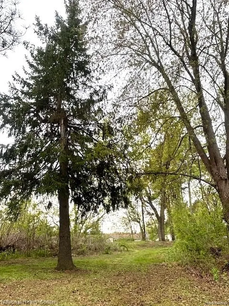 1625 Highland Park Drive Highland Charter Township MI 48356