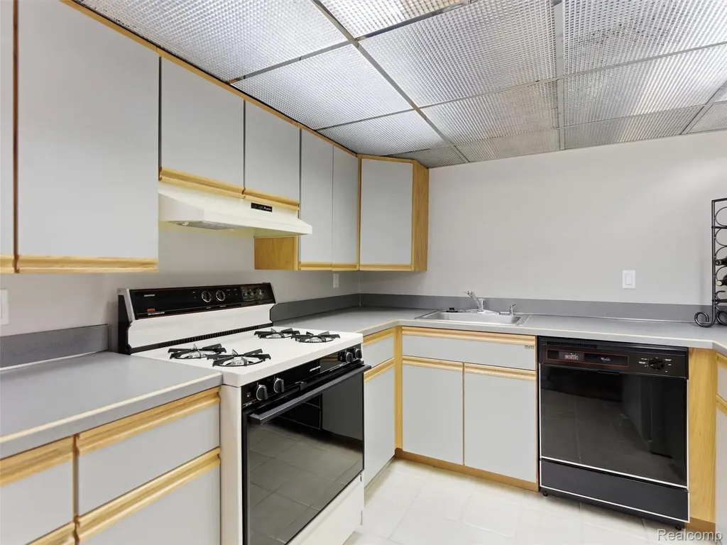 4227 Newcastle Drive Orion Charter Township MI 48348