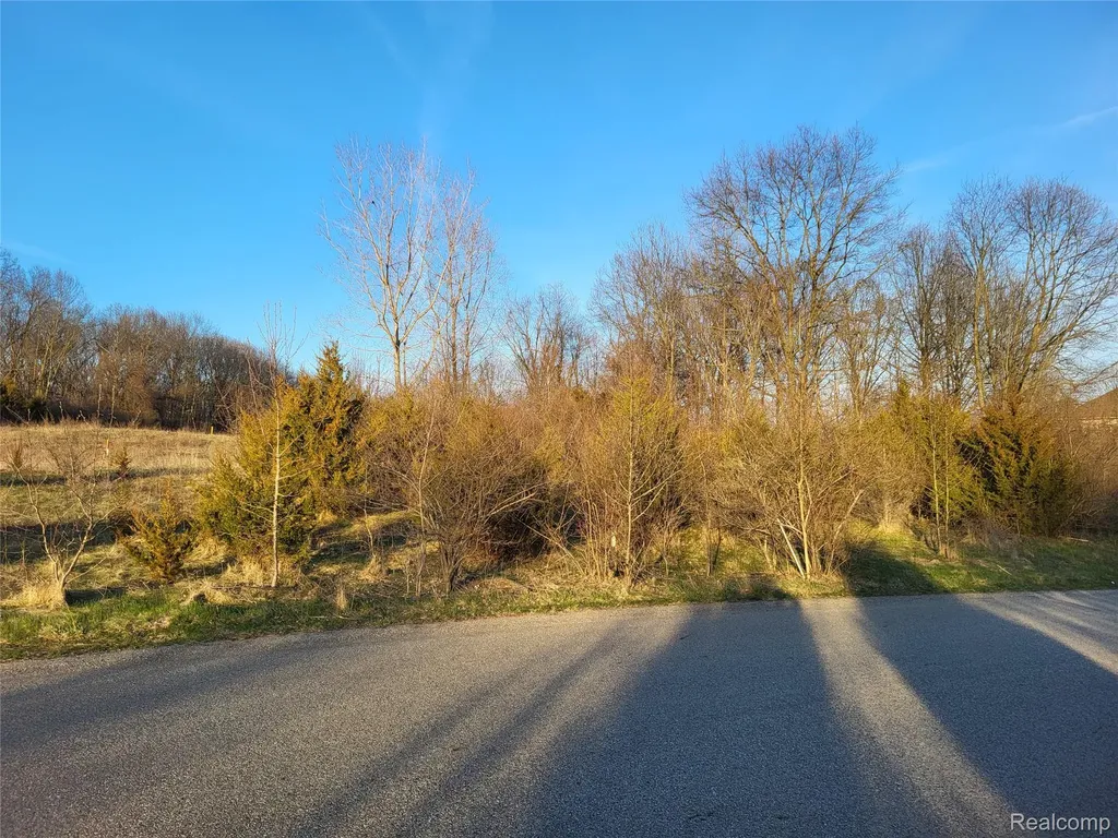 Tbd Parcel C Olivia Drive Milford Charter Township MI 48380