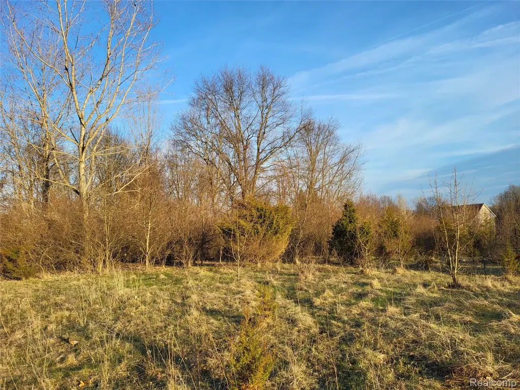 Tbd Parcel B Olivia Drive Milford Charter Township MI 48380