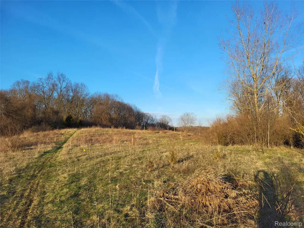 Tbd Parcel B Olivia Drive Milford Charter Township MI 48380