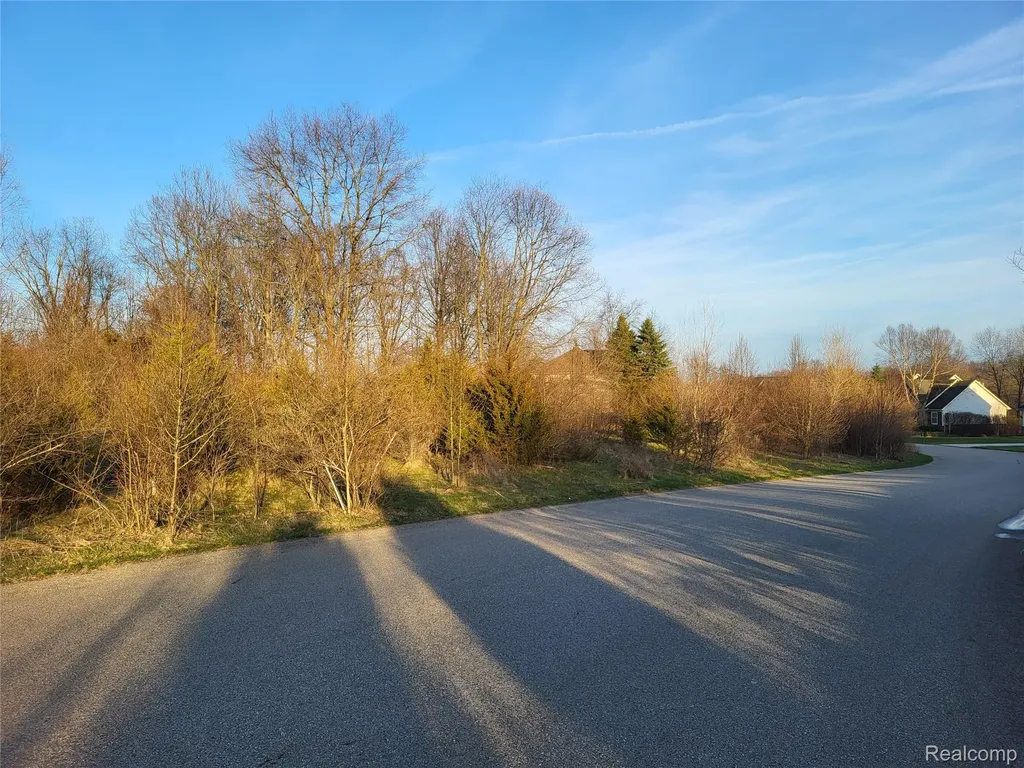 Tbd Parcel B Olivia Drive Milford Charter Township MI 48380