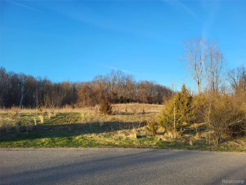 Tbd Parcel B Olivia Drive Milford Charter Township MI 48380
