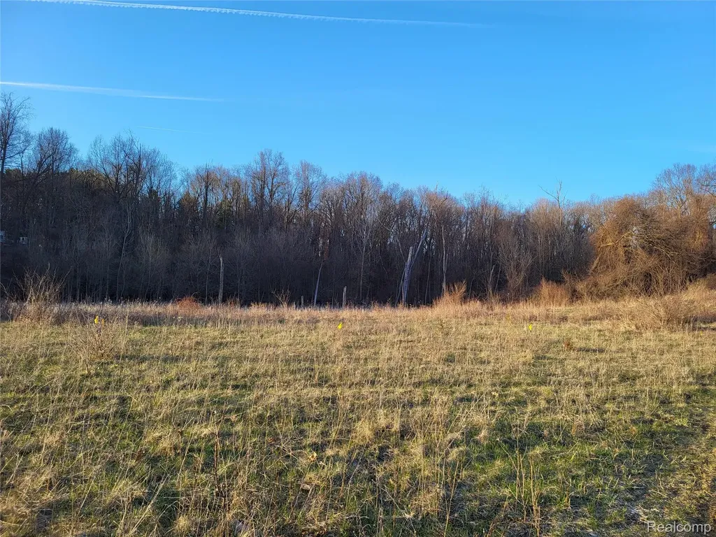 Tbd Parcel B Olivia Drive Milford Charter Township MI 48380
