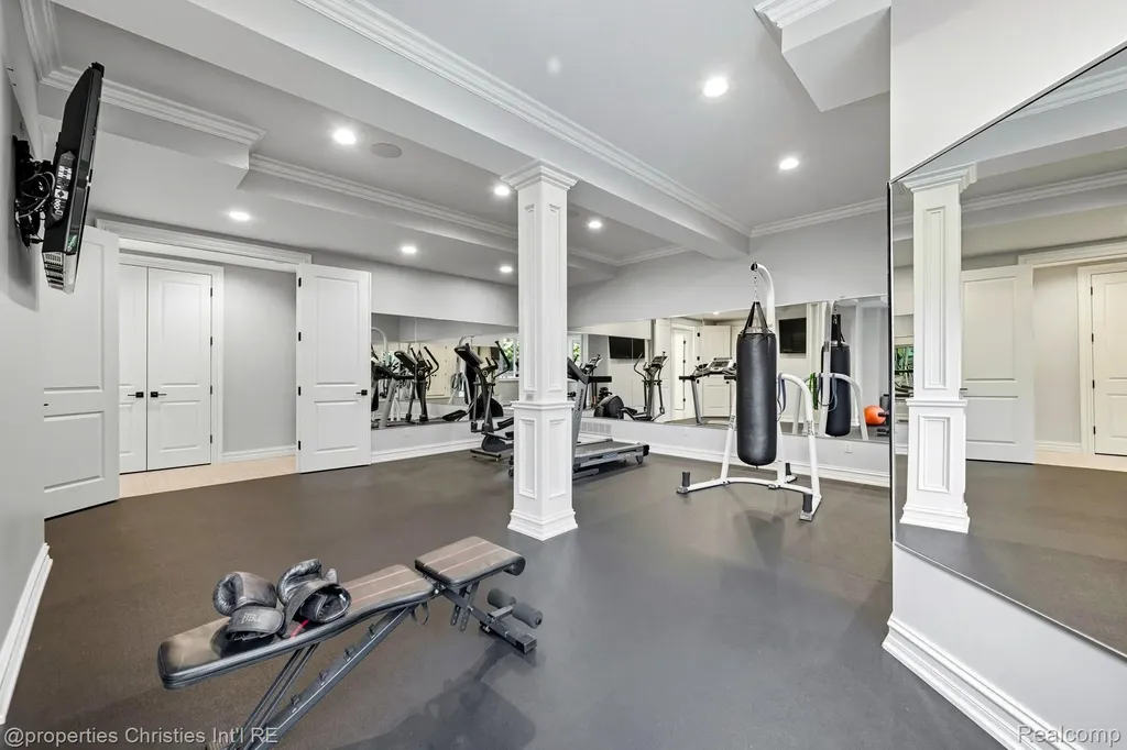 48923 Veneto Drive Novi City MI 48167