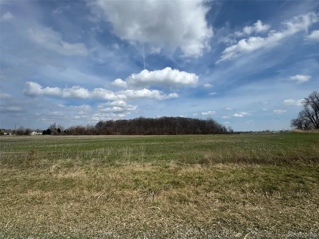 0 Briar Hill Road Ash Township MI 48117