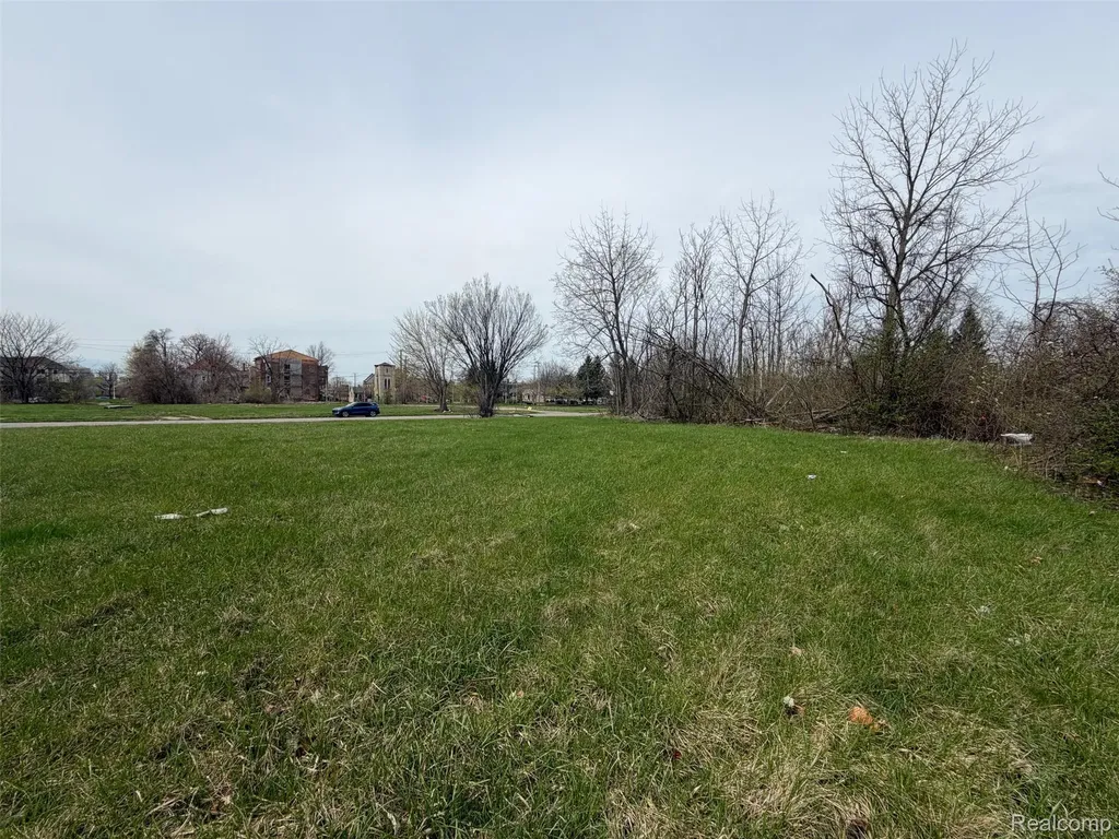 698 Field Street Detroit City MI 48214