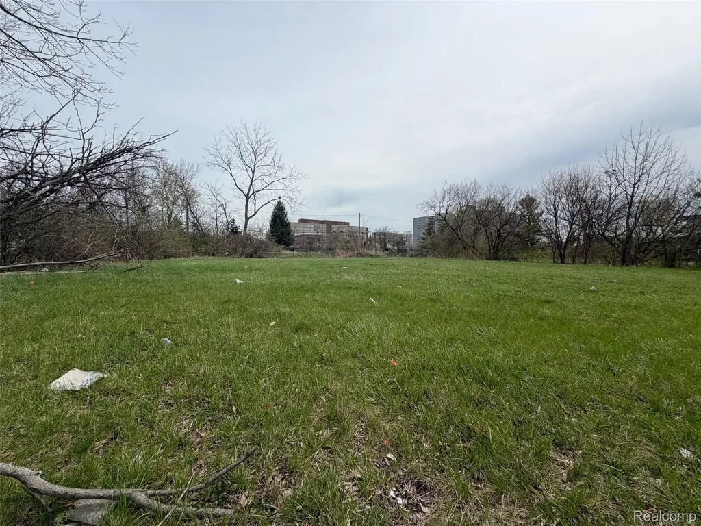 704 Field Street Detroit City MI 48214