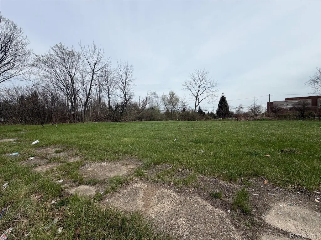 704 Field Street Detroit City MI 48214