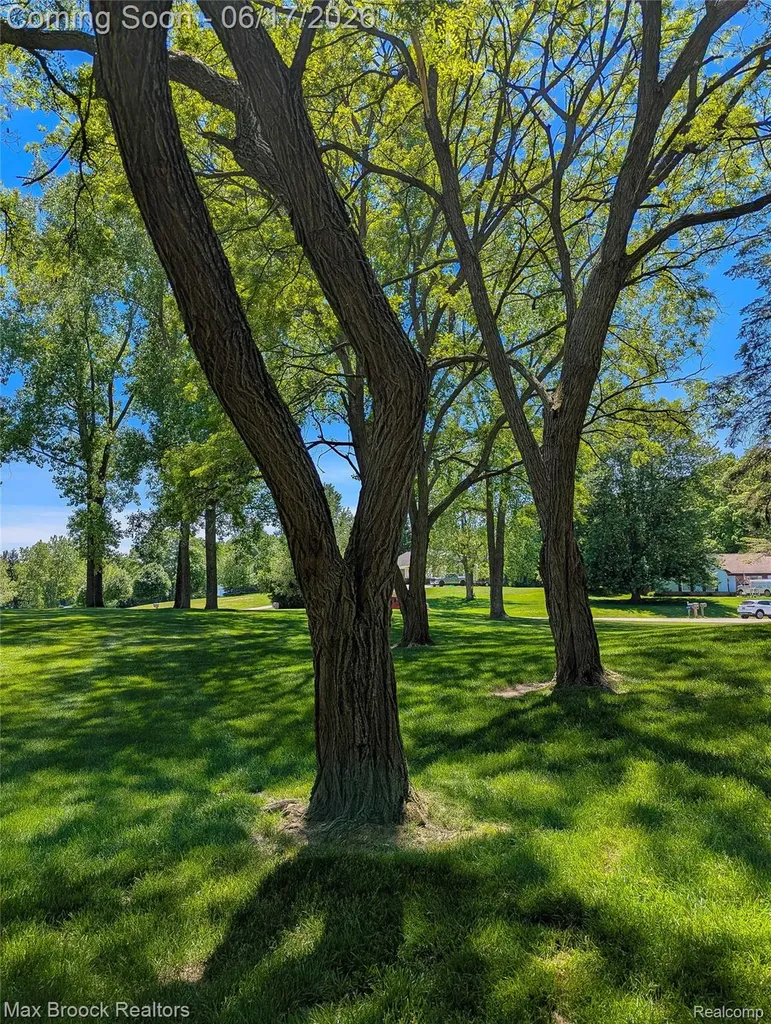 5466 Taylor Lane Springfield Charter Township MI 48346