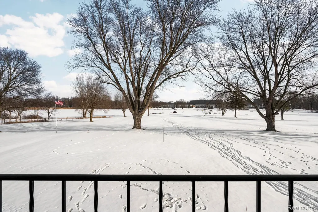 27094 Sandy Hill Lane Lyon Charter Township MI 48165