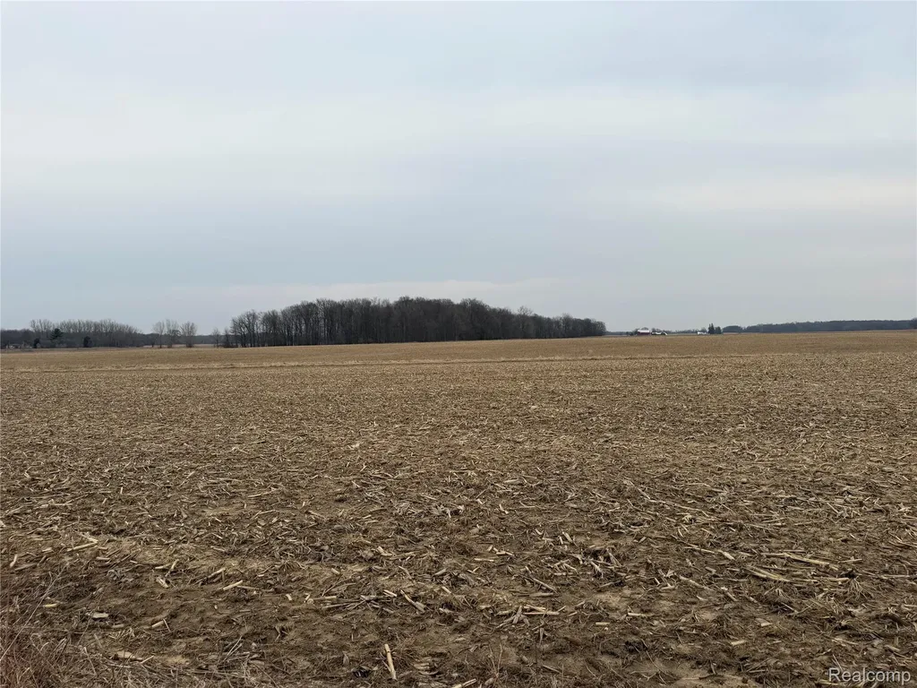 V/l Ringle Juniata Township MI 48723