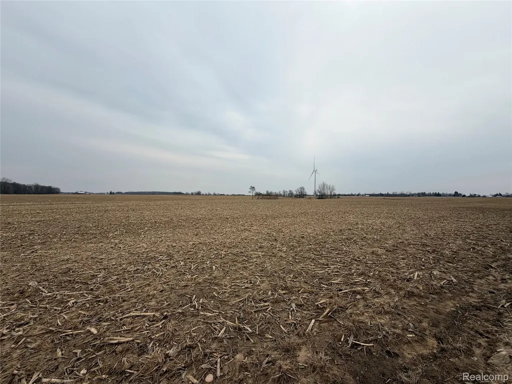V/l Ringle Juniata Township MI 48723
