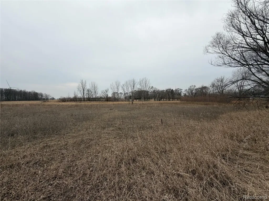 V/l Ringle Juniata Township MI 48723