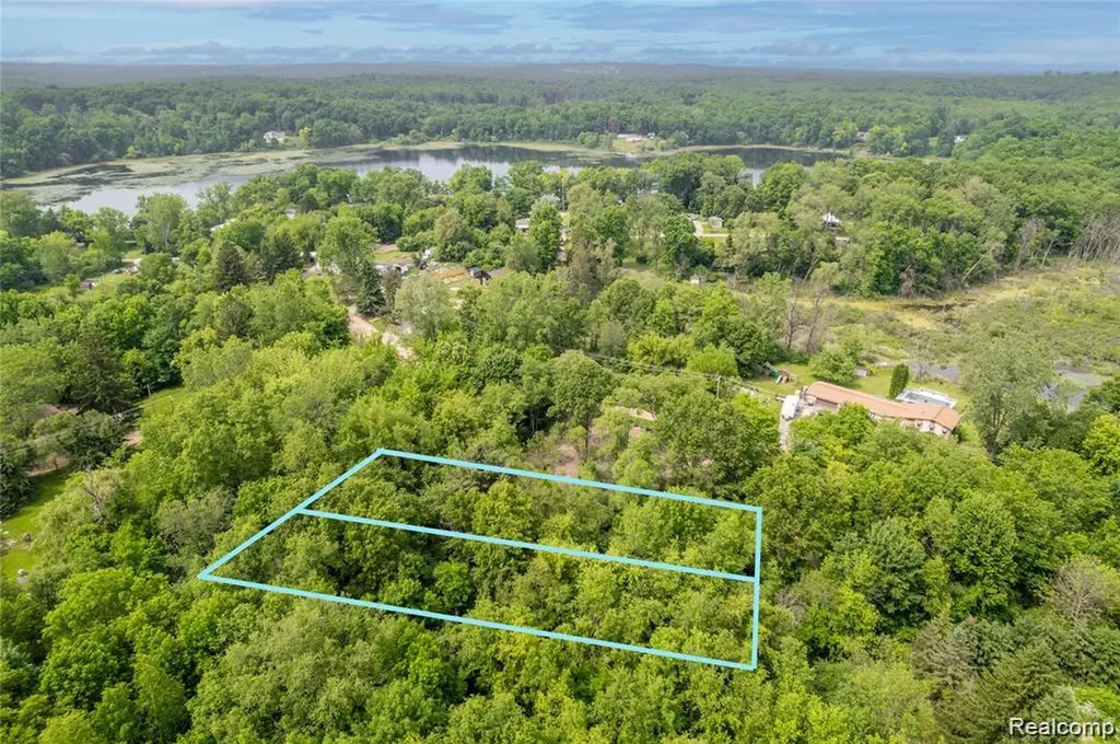 Vl Birchwood Drive Holly Township MI 48442