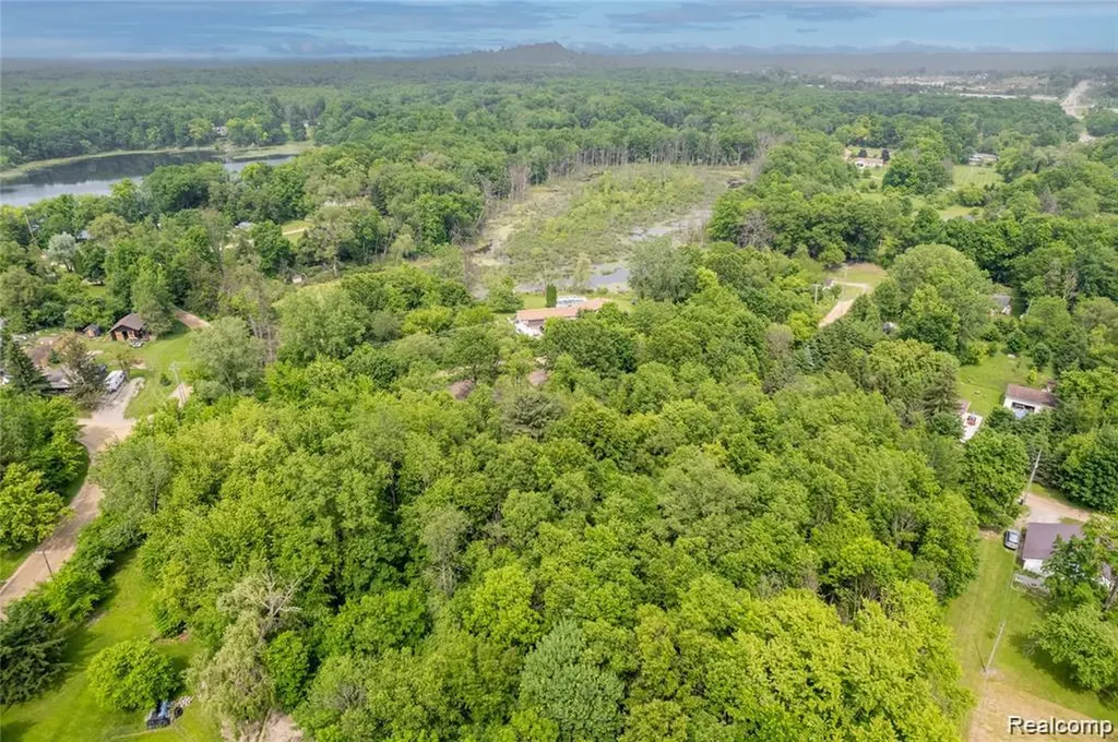Vl Birchwood Drive Holly Township MI 48442