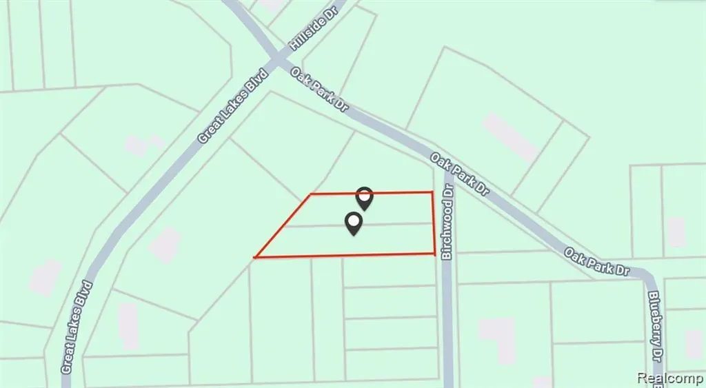 Vl Birchwood Drive Holly Township MI 48442