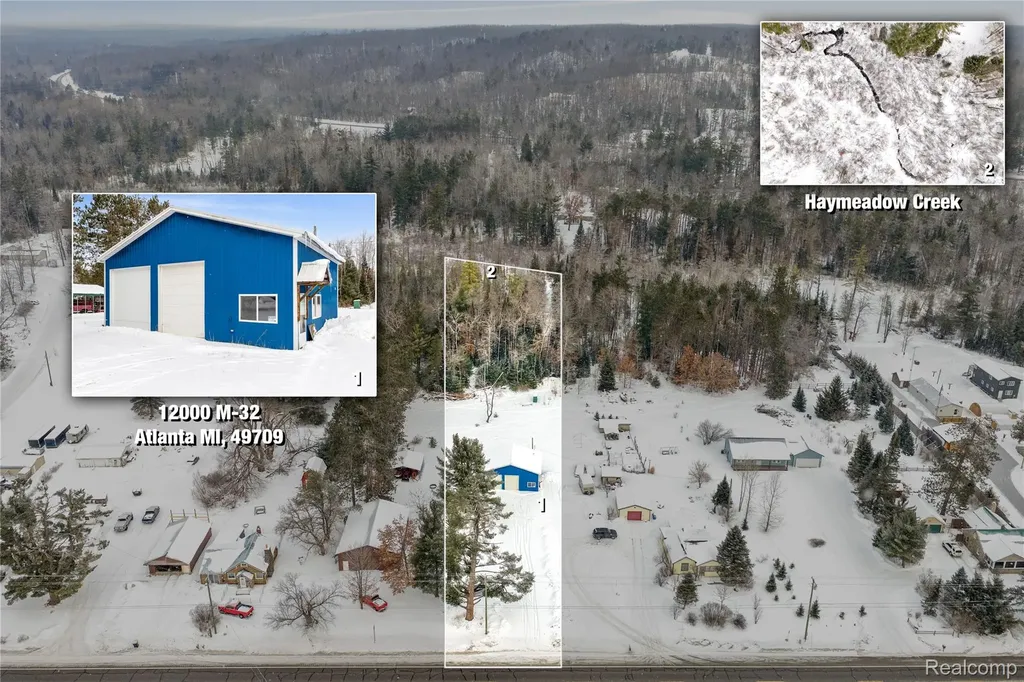 12000 M-32 Briley Township MI 49709