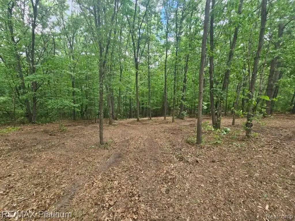 4253 Link Drive Brighton Township MI 48114