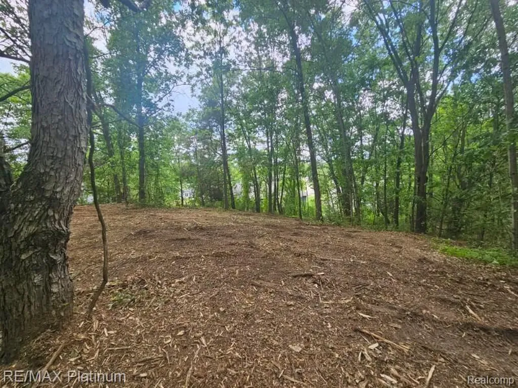 4253 Link Drive Brighton Township MI 48114