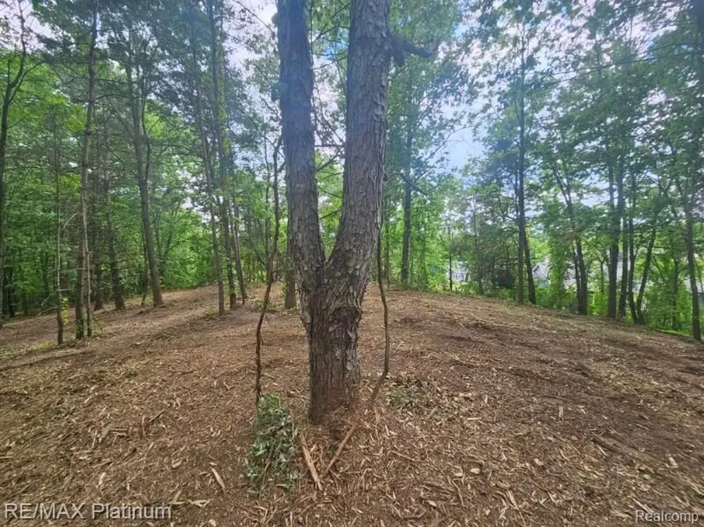 4253 Link Drive Brighton Township MI 48114