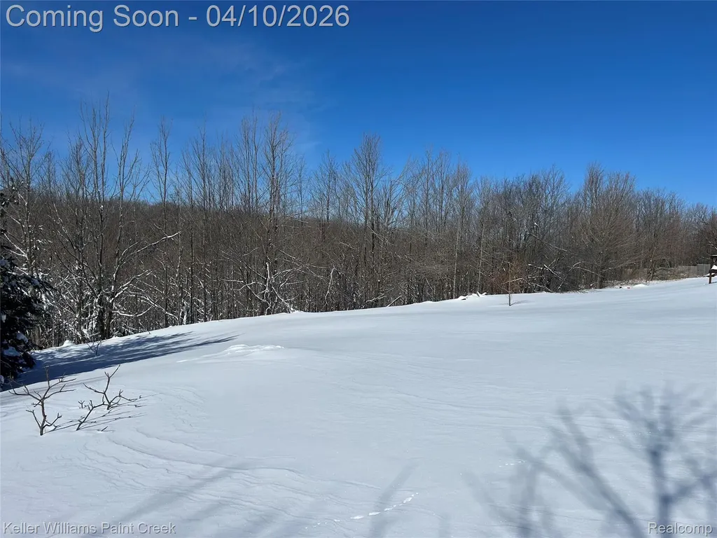3055 Black Road Marion Township MI 49720
