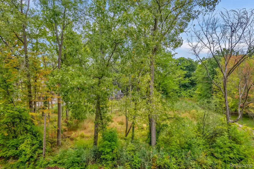 3459 Hazelton Avenue Rochester Hills City MI 48316