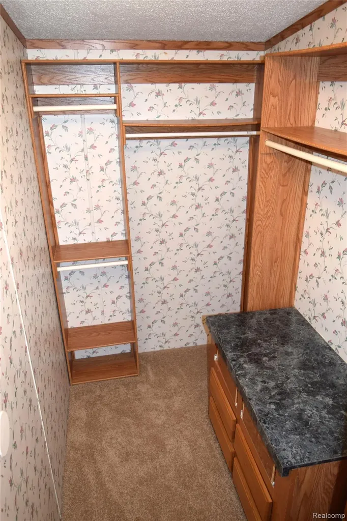 443 Pond View Drive Morrice Village MI 48857