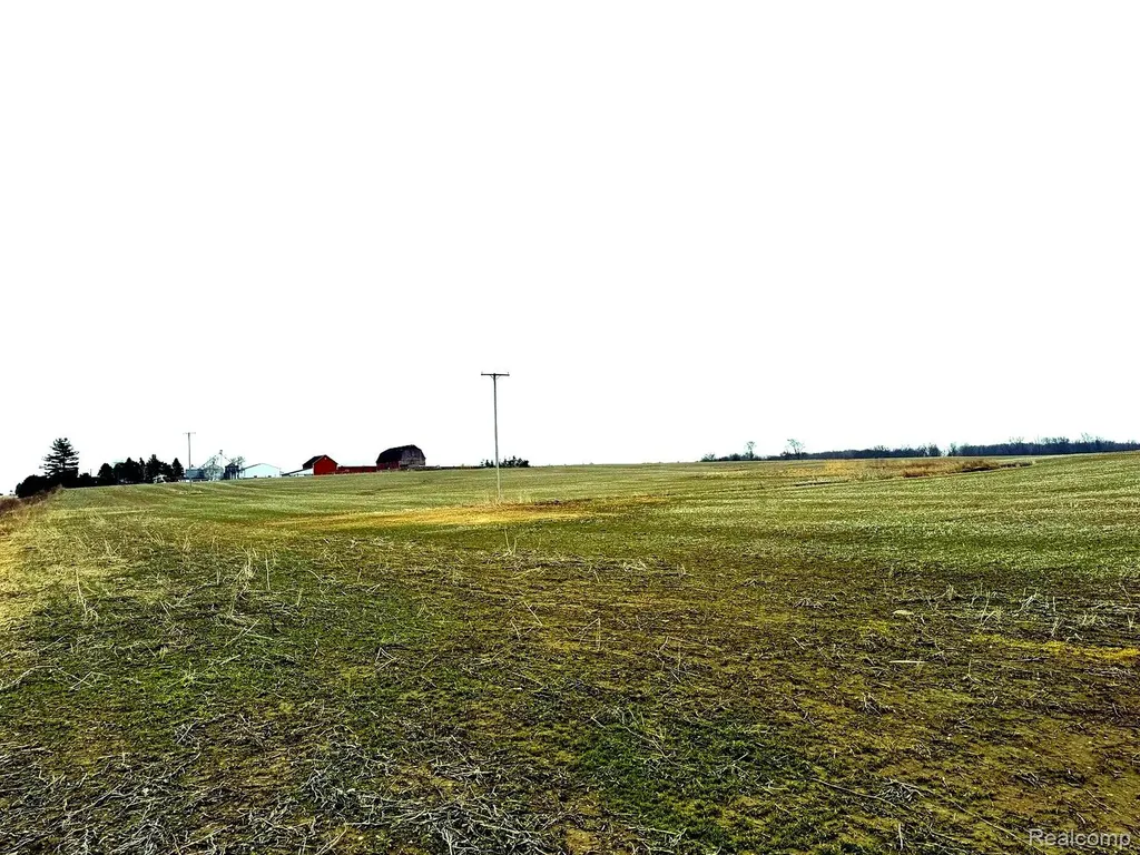 3160 E Sanilac Road Dayton Township MI 48741