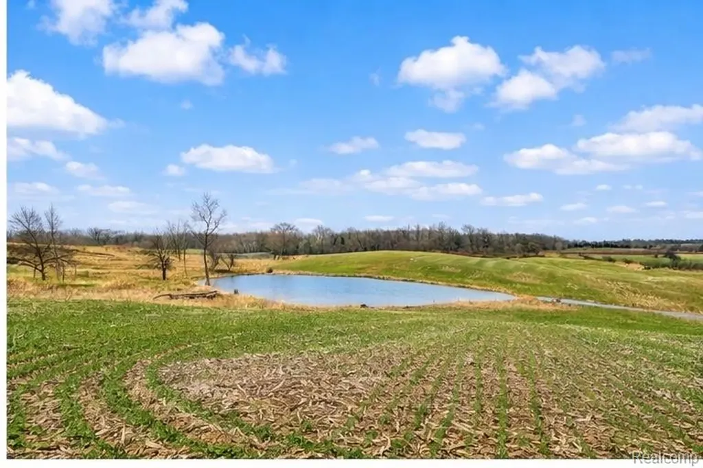 3160 E Sanilac Road Dayton Township MI 48741