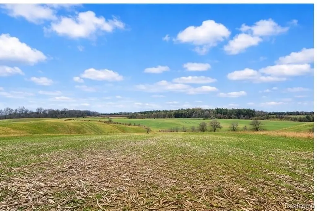 3160 E Sanilac Road Dayton Township MI 48741