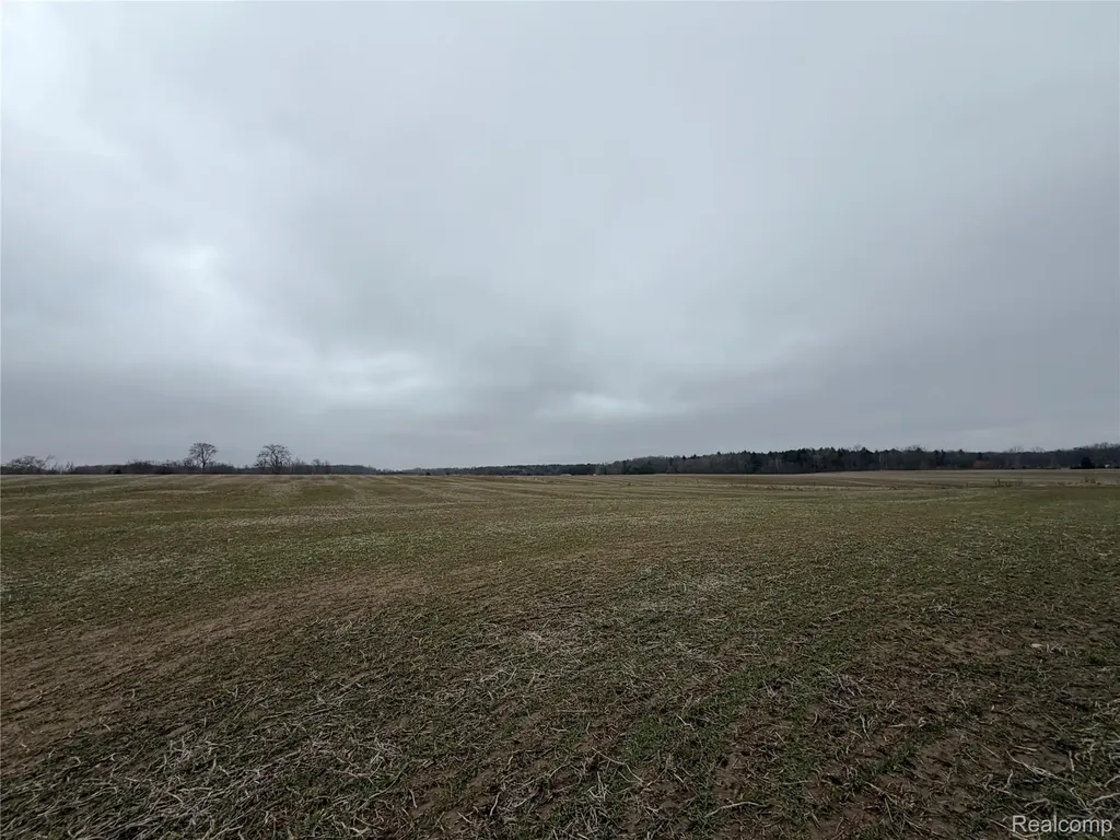 3160 E Sanilac Road Dayton Township MI 48741
