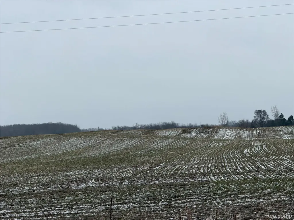 3160 E Sanilac Road Dayton Township MI 48741