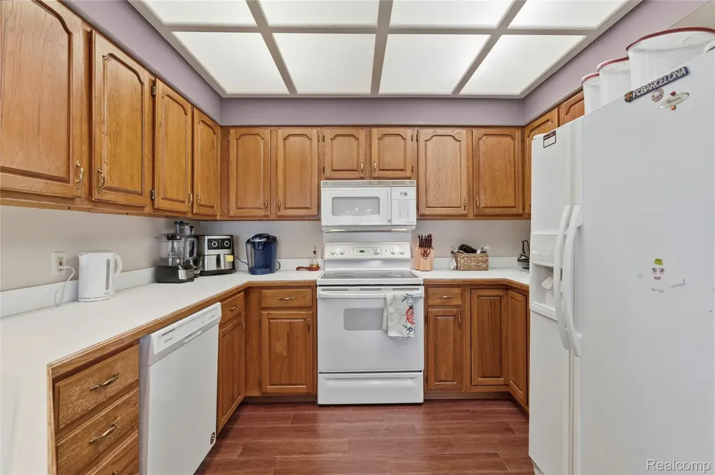6361 Squire Lake Drive Mt. Morris Township MI 48433