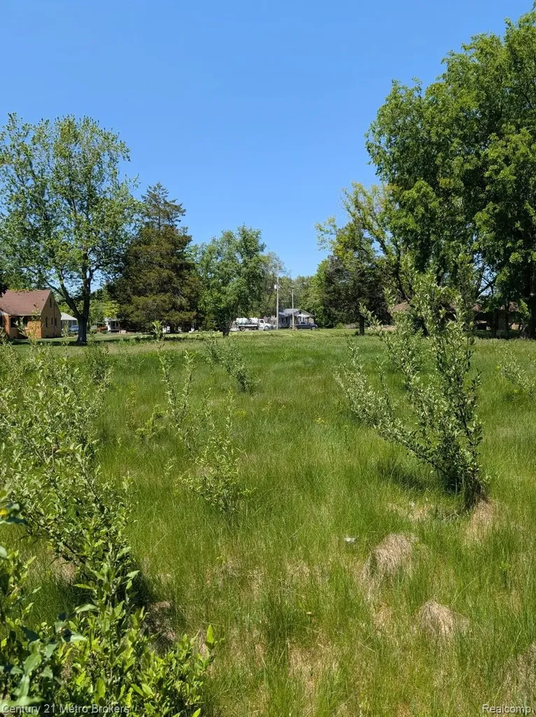 2840 Tatham Road Bridgeport Charter Township MI 48601