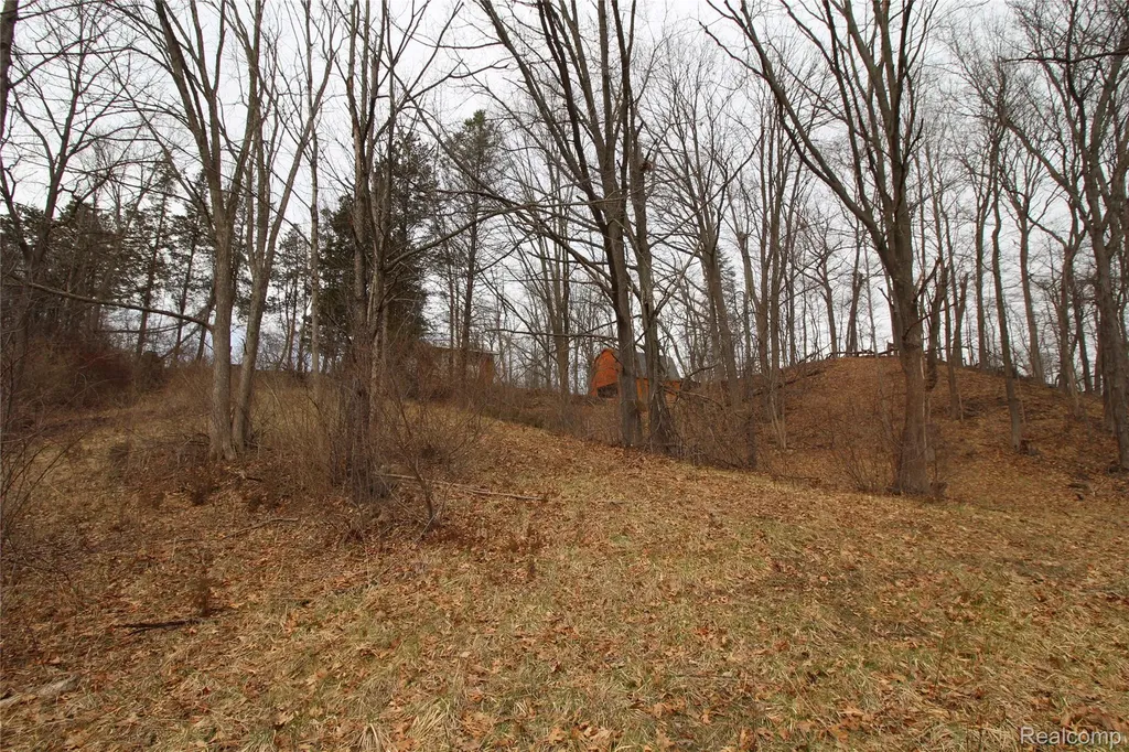 1050 Teggerdine Road White Lake Charter Township MI 48386