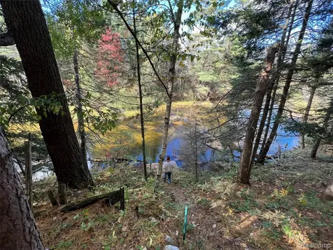 6051 N Manistee River Road Frederic Township MI 49733