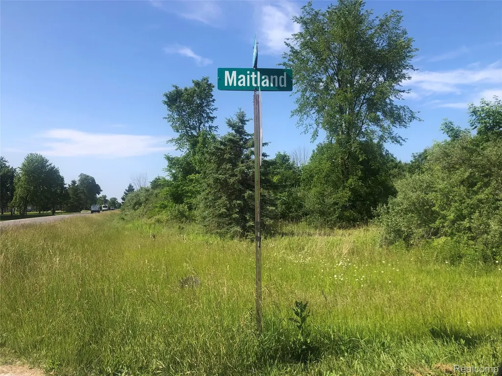 Parcel 1-4 Maitland Road Clyde Township MI 48049