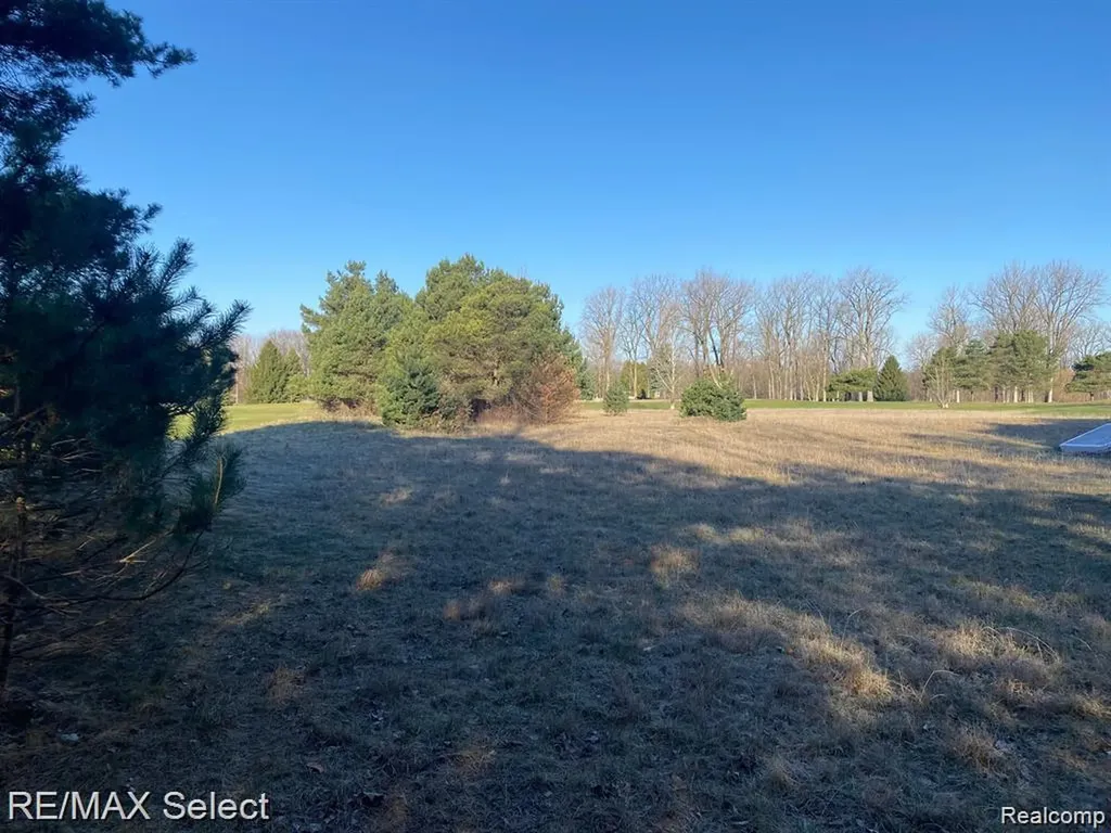 0 Weeden Road Indianfields Township MI 48723