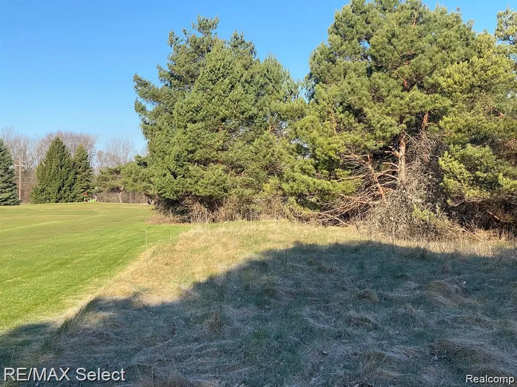 0 Weeden Road Indianfields Township MI 48723