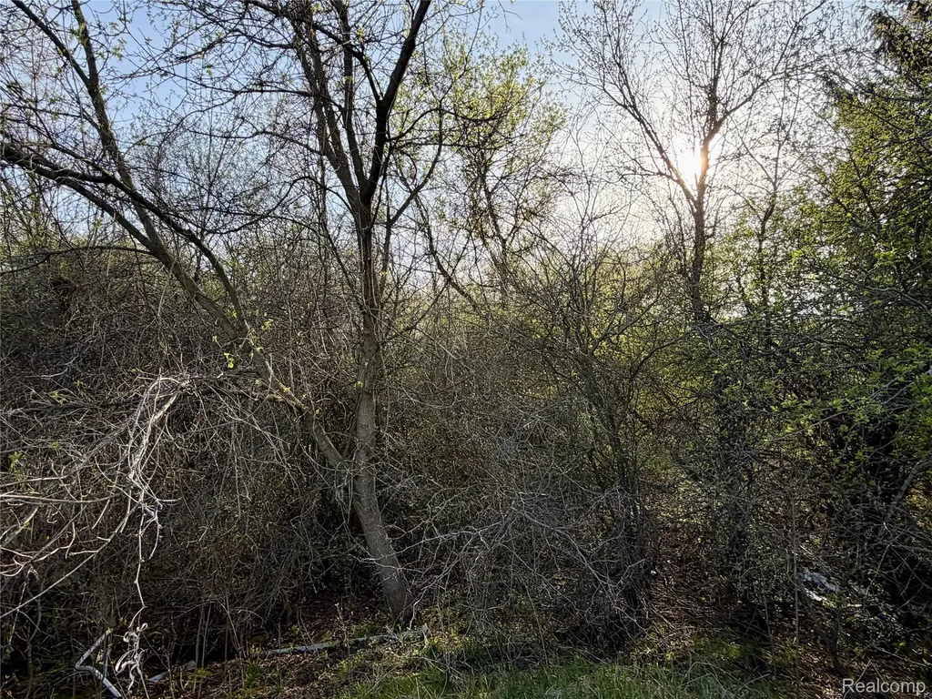 7828 Fosdick Road Pittsfield Charter Township MI 48176