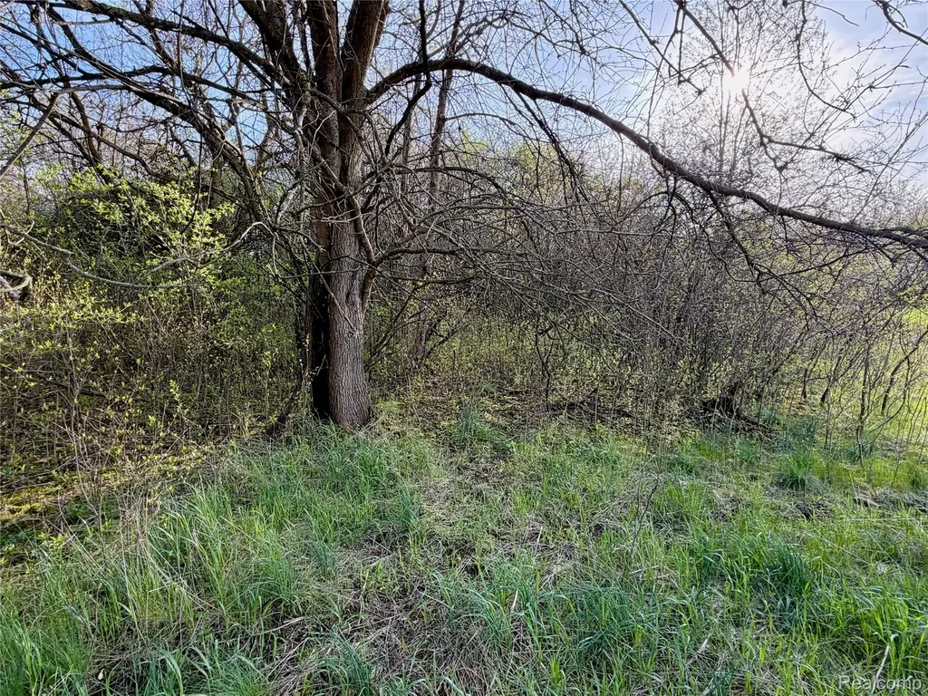 7828 Fosdick Road Pittsfield Charter Township MI 48176