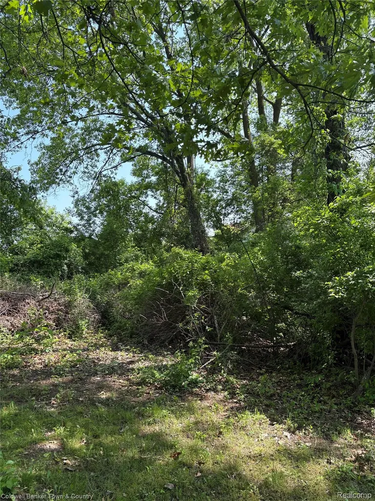 0 Mallards Landing Highland Charter Township MI 48357
