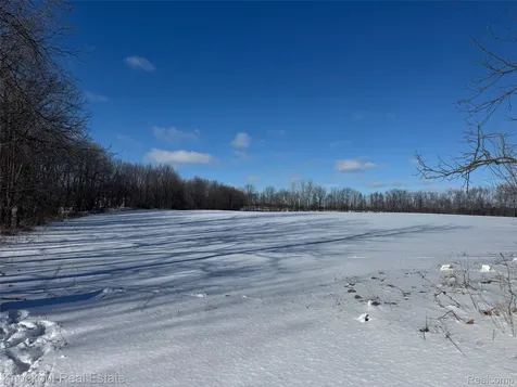 Parcel C Murphy Lake Road Watertown Township MI 48744