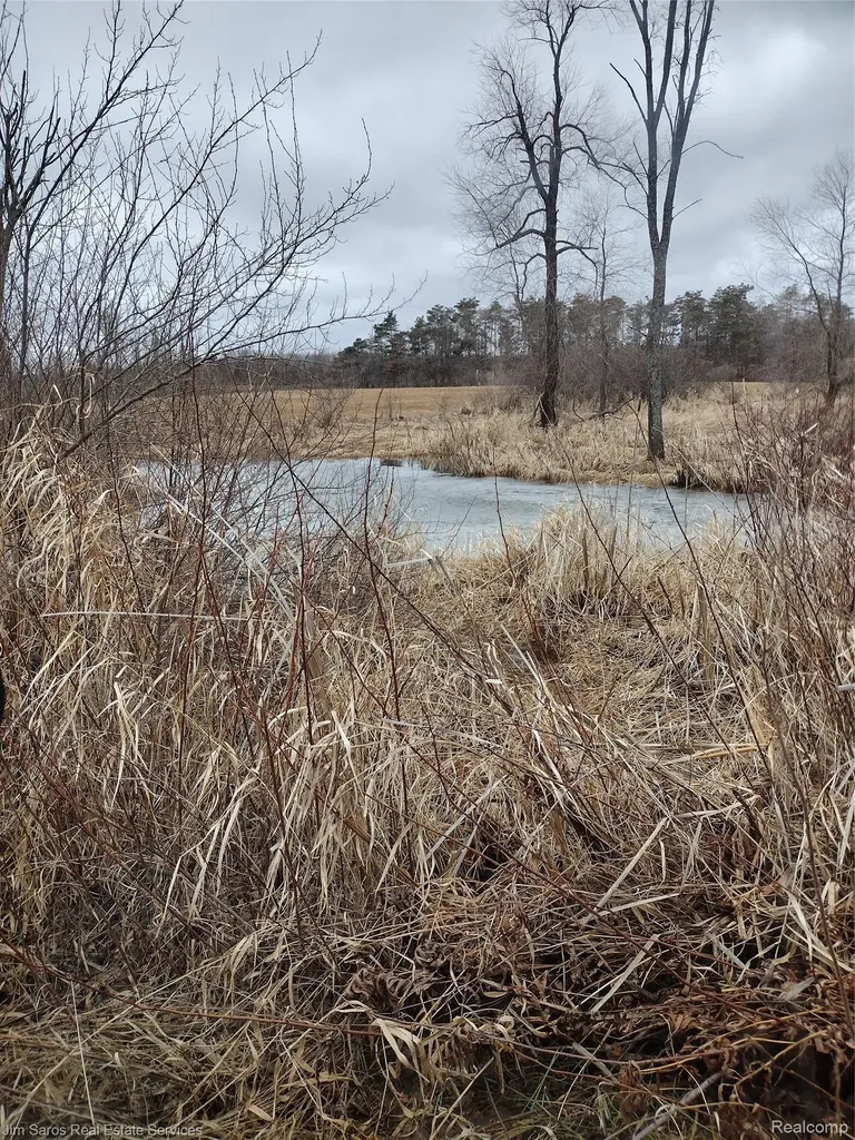 4771 E County Line Road Curtis Township MI 48761